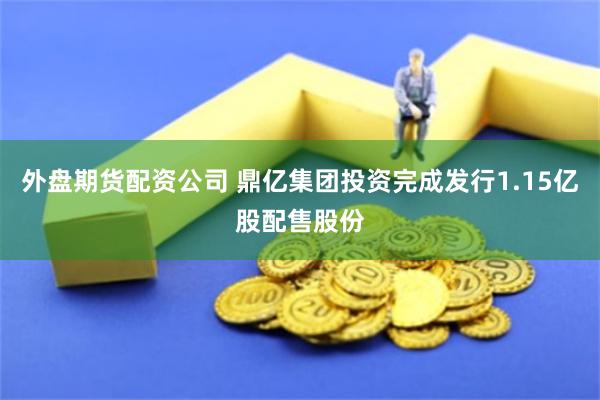 外盘期货配资公司 鼎亿集团投资完成发行1.15亿股配售股份