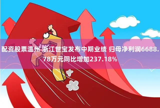 配资股票温州 浙江世宝发布中期业绩 归母净利润6688.78万元同比增加237.18%