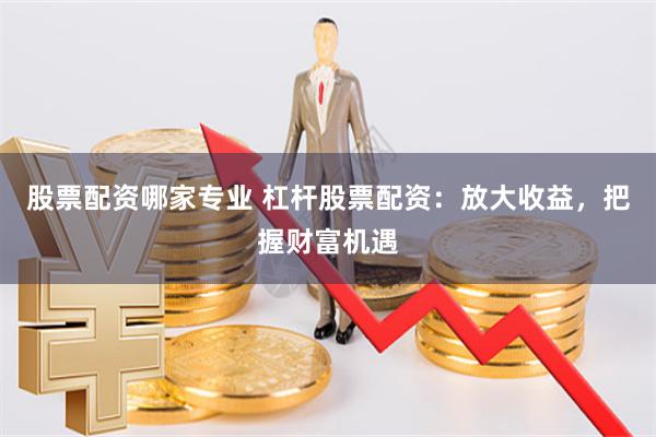 股票配资哪家专业 杠杆股票配资：放大收益，把握财富机遇