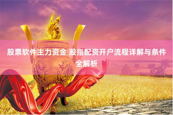 股票软件主力资金 股指配资开户流程详解与条件全解析