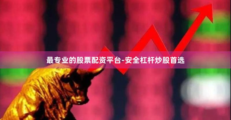 最专业的股票配资平台-安全杠杆炒股首选